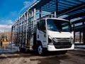 2026 Isuzu NRR Derate Crew Cab (Class 5 Diesel) 176 in Wheelbase - Image 34