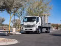 2026 Isuzu FTR (Diesel) 248 in Wheelbase - Image 14